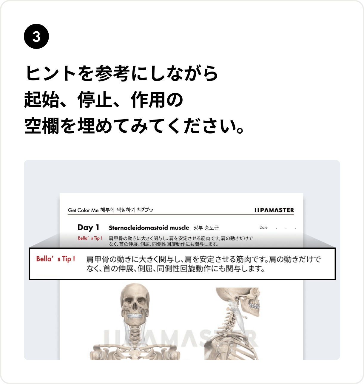 ヒントを参考にしながら起始、停止、作用の空欄を埋めてみてください。