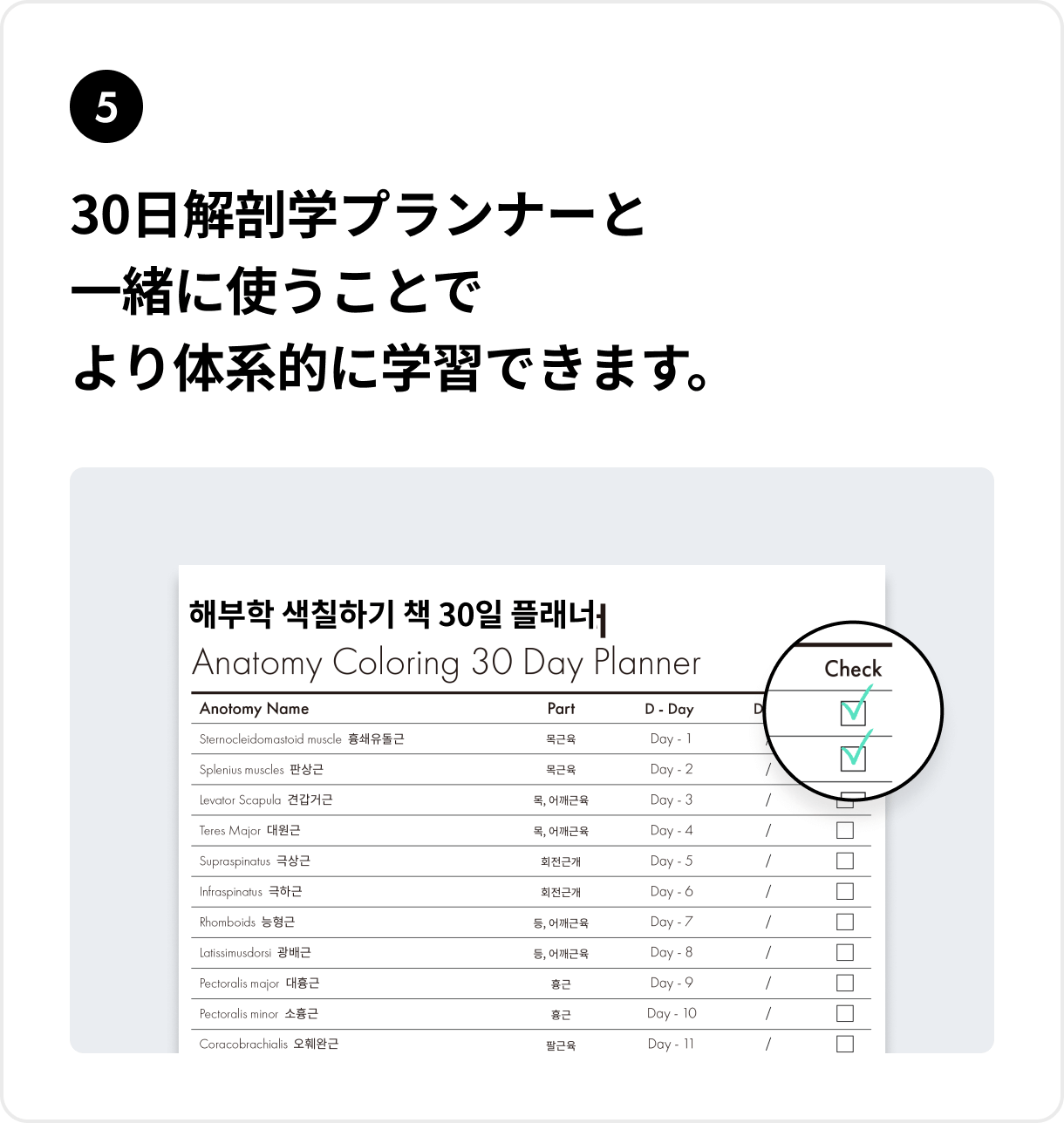 30日解剖学プランナーと一緒に使うことでより体系的に学習できます。