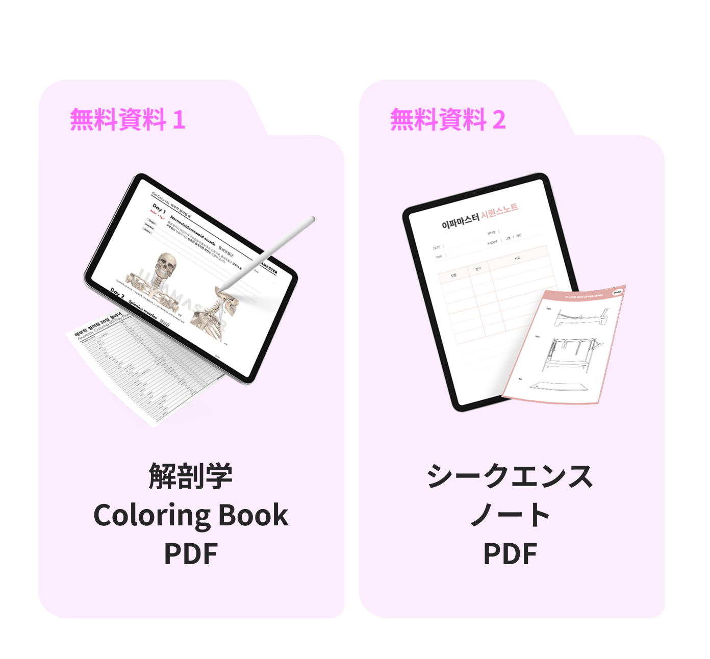 解剖学Coloring Book PDF, ークエンスノートPDF