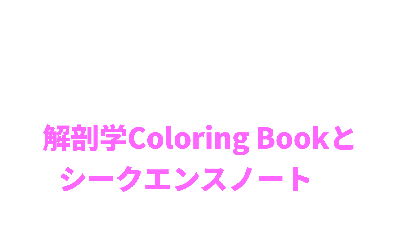 さらに！韓国の講師たちの間で当初から永く愛されているイパマスター自作コンテンツ解剖学Coloring Bookとシークエンスノートを無料提供