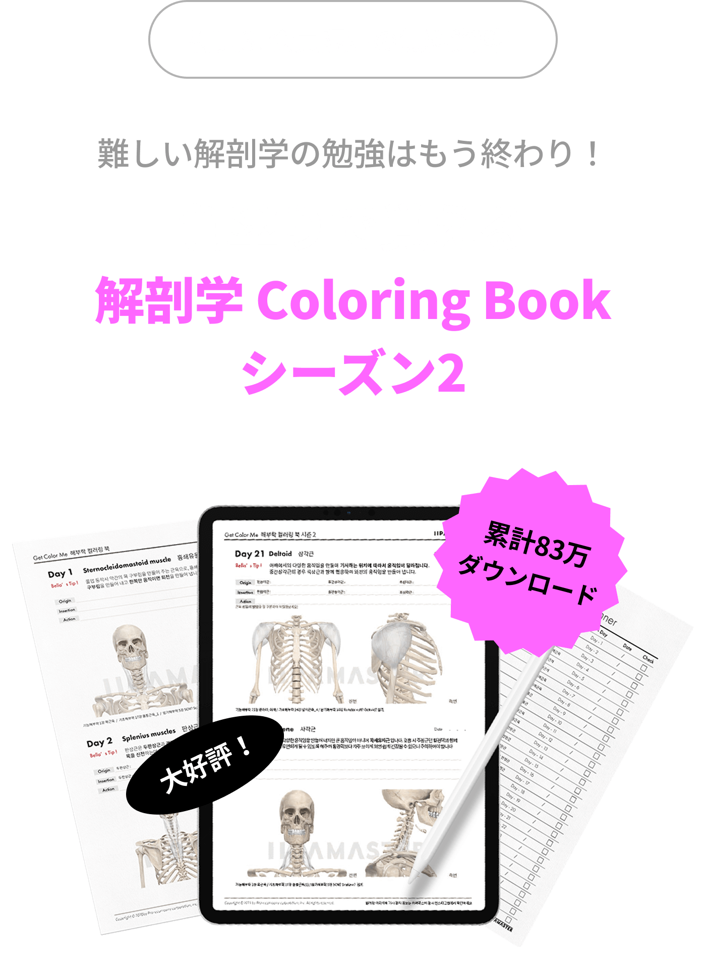 特典3. 会員限定の無料資料1難しい解剖学の勉強はもう終わり！色塗りで覚える解剖学 Coloring Bookシーズン2