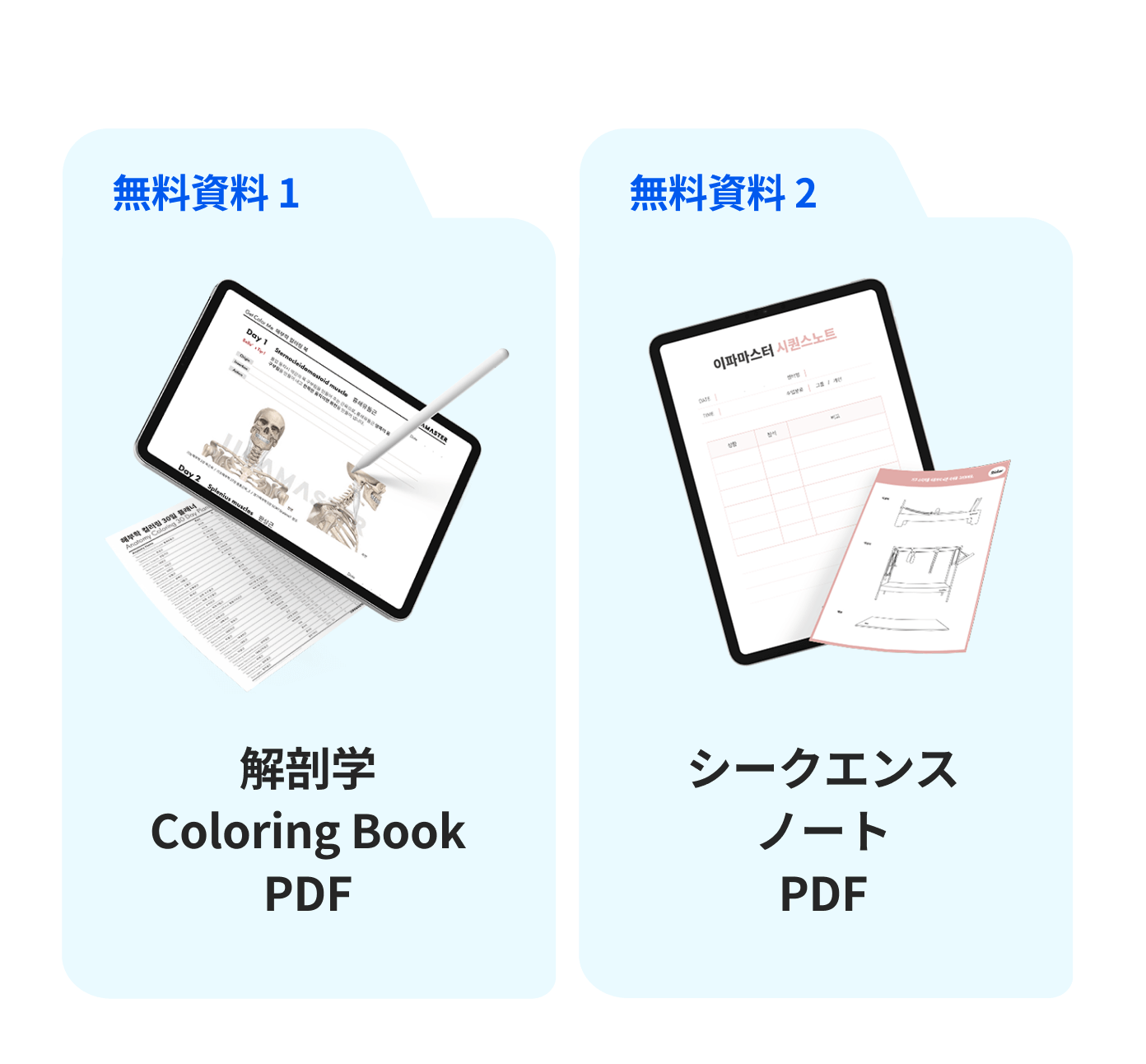 解剖学Coloring Book PDF, ークエンスノートPDF