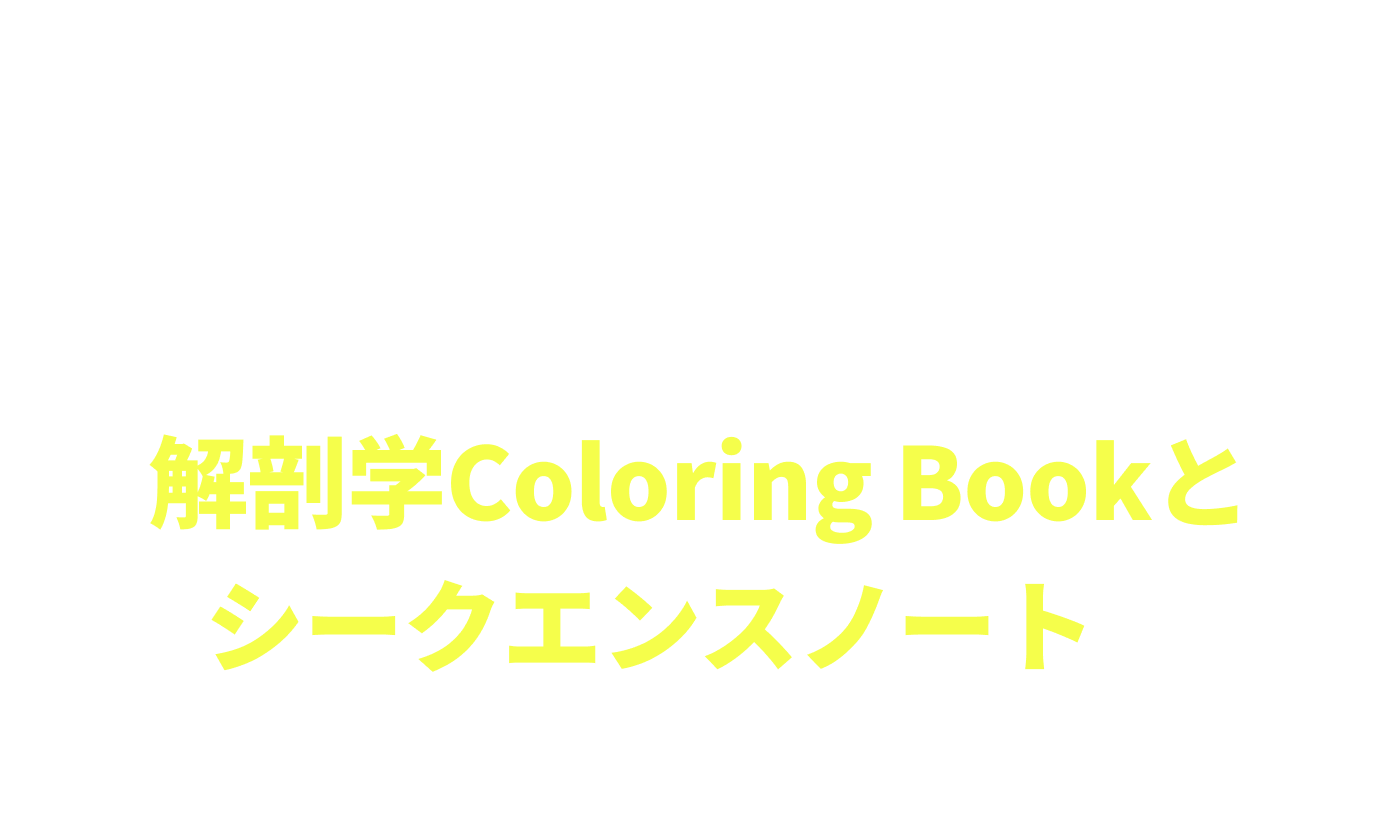 さらに！韓国の講師たちの間で当初から永く愛されているイパマスター自作コンテンツ解剖学Coloring Bookとシークエンスノートを無料提供