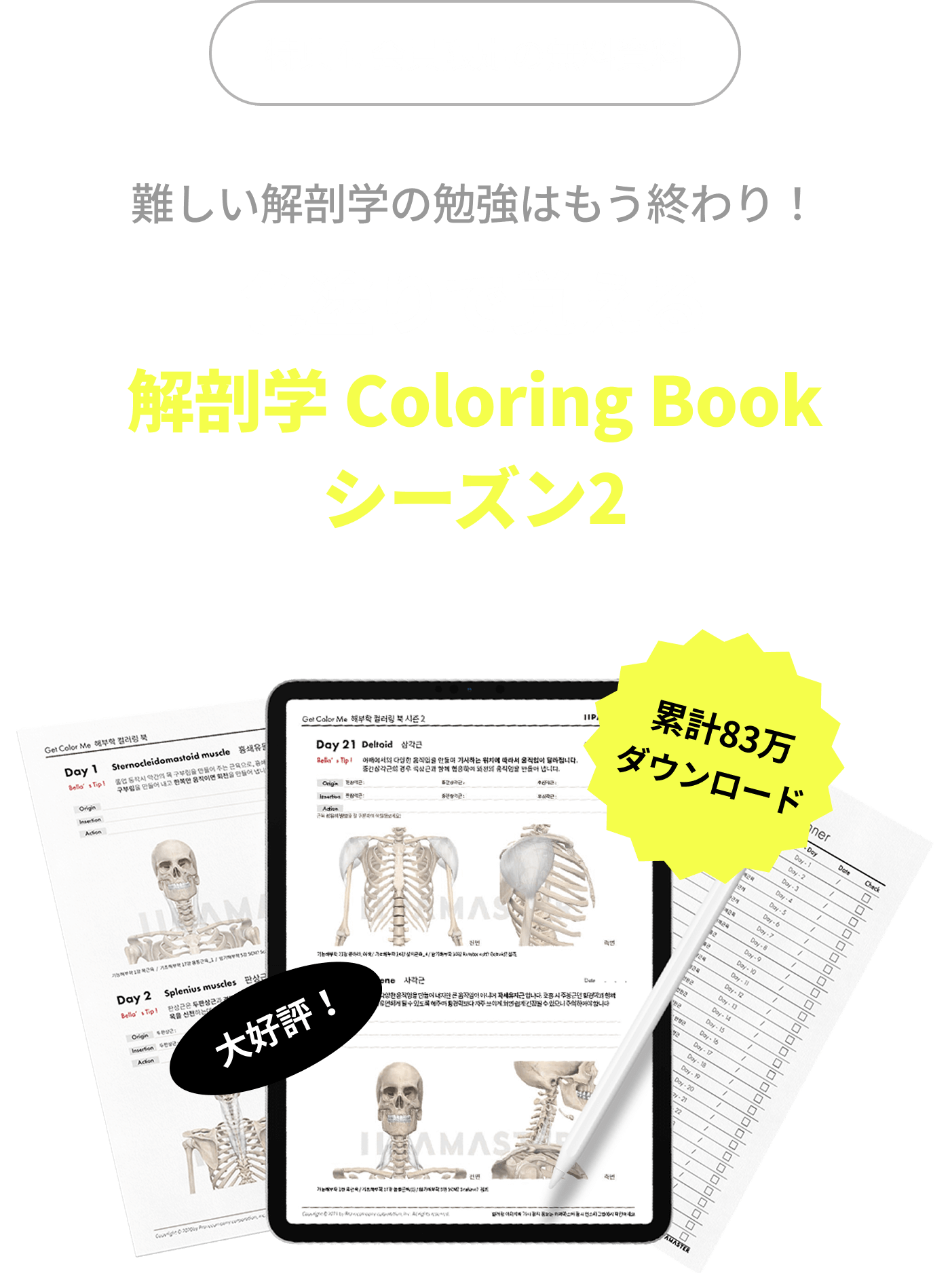 難しい解剖学の勉強はもう終わり！色塗りで覚える解剖学 Coloring Bookシーズン2