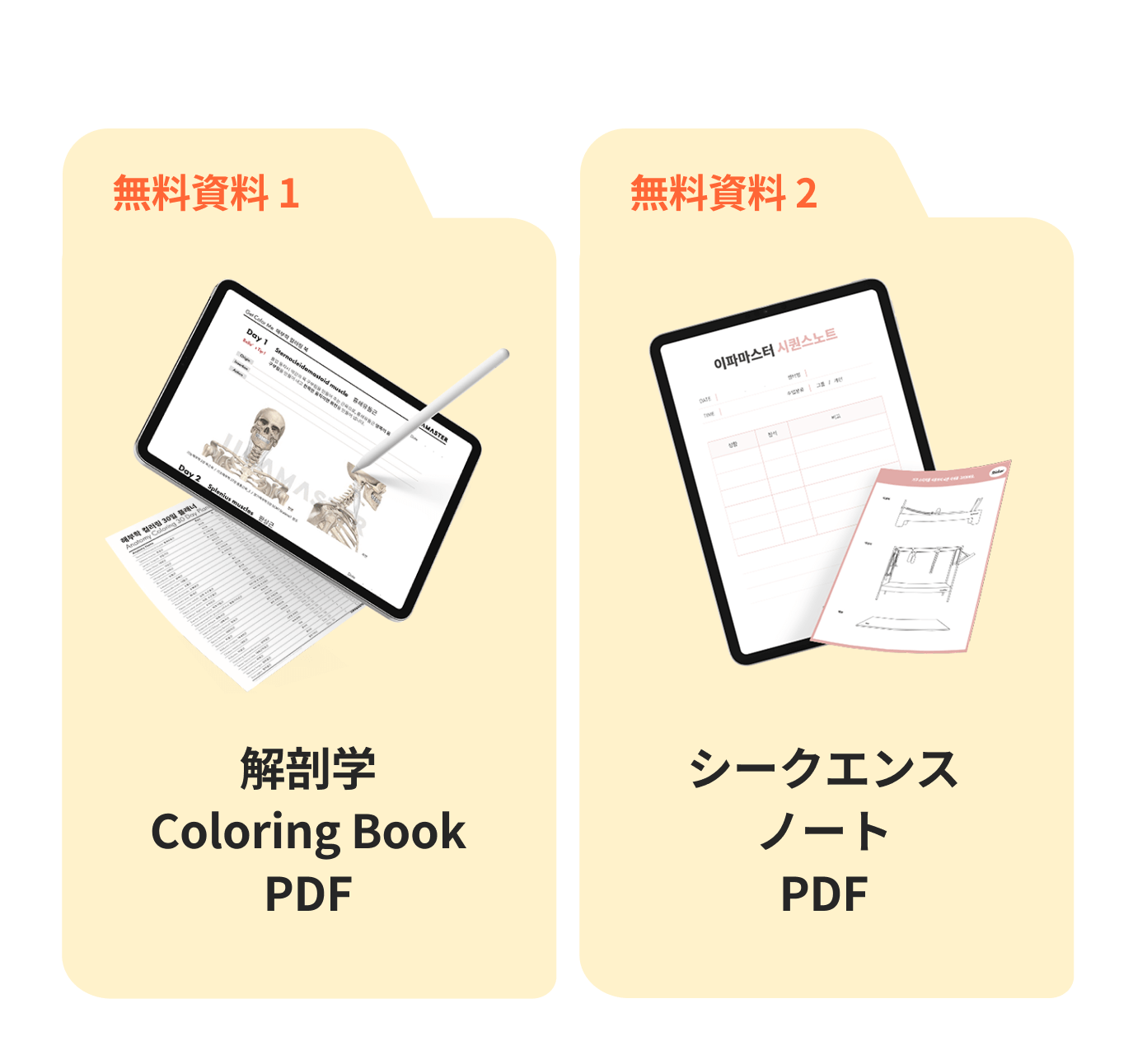 解剖学Coloring Book PDF, ークエンスノートPDF