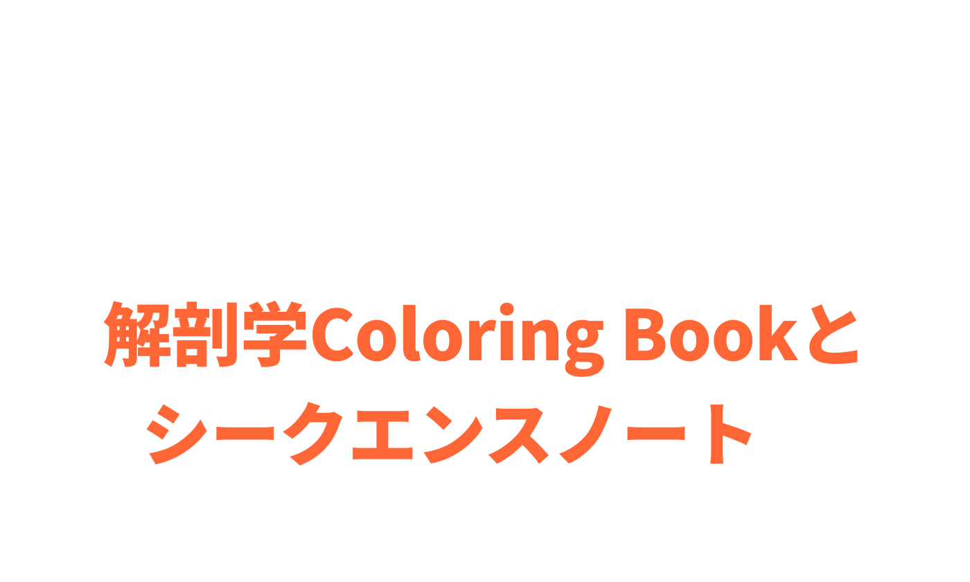 さらに！韓国の講師たちの間で当初から永く愛されているイパマスター自作コンテンツ解剖学Coloring Bookとシークエンスノートを無料提供