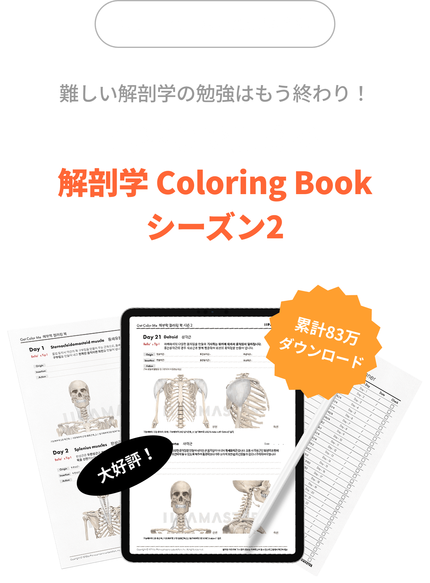 難しい解剖学の勉強はもう終わり！色塗りで覚える解剖学 Coloring Bookシーズン2