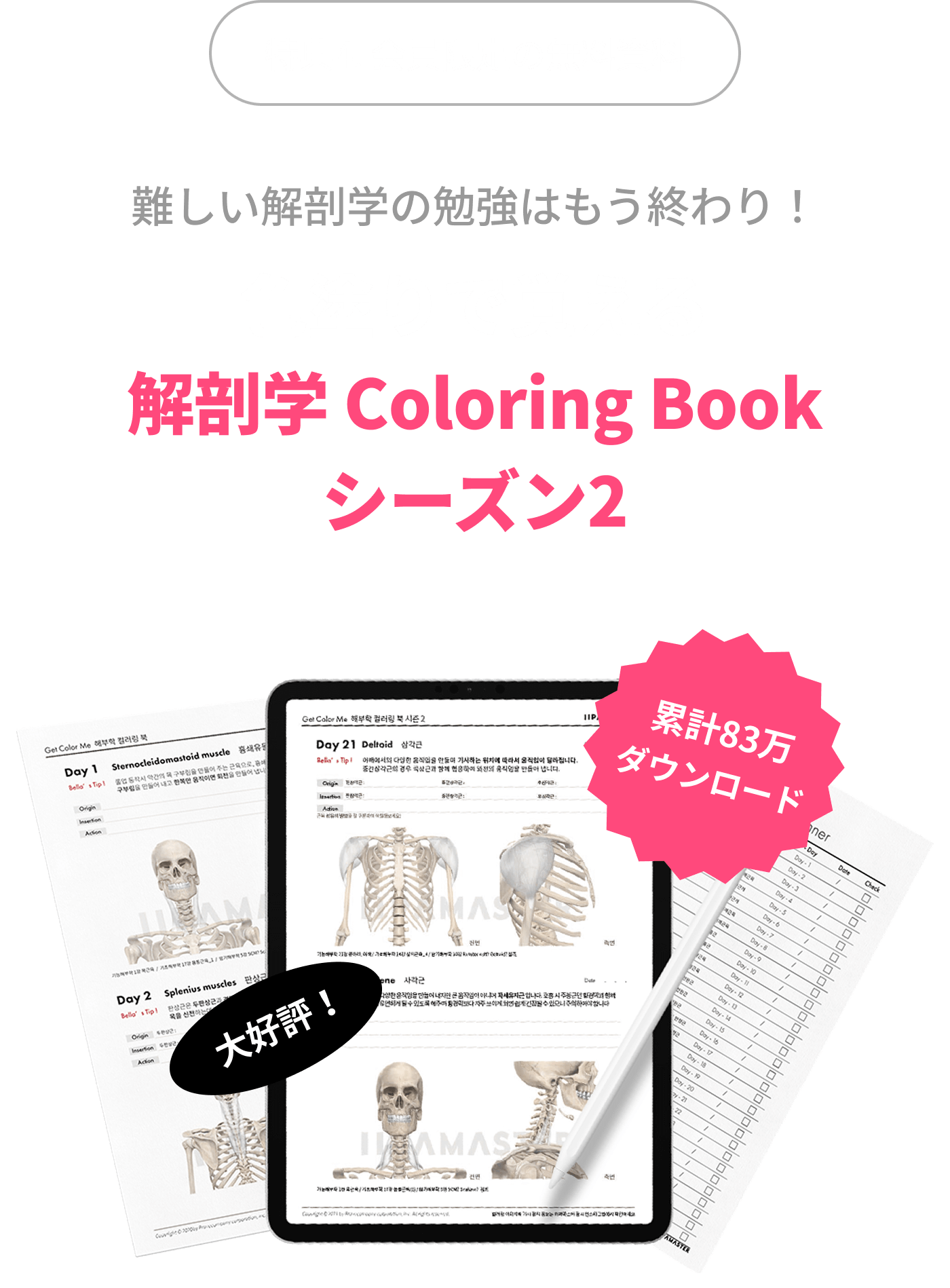 難しい解剖学の勉強はもう終わり！色塗りで覚える解剖学 Coloring Bookシーズン2