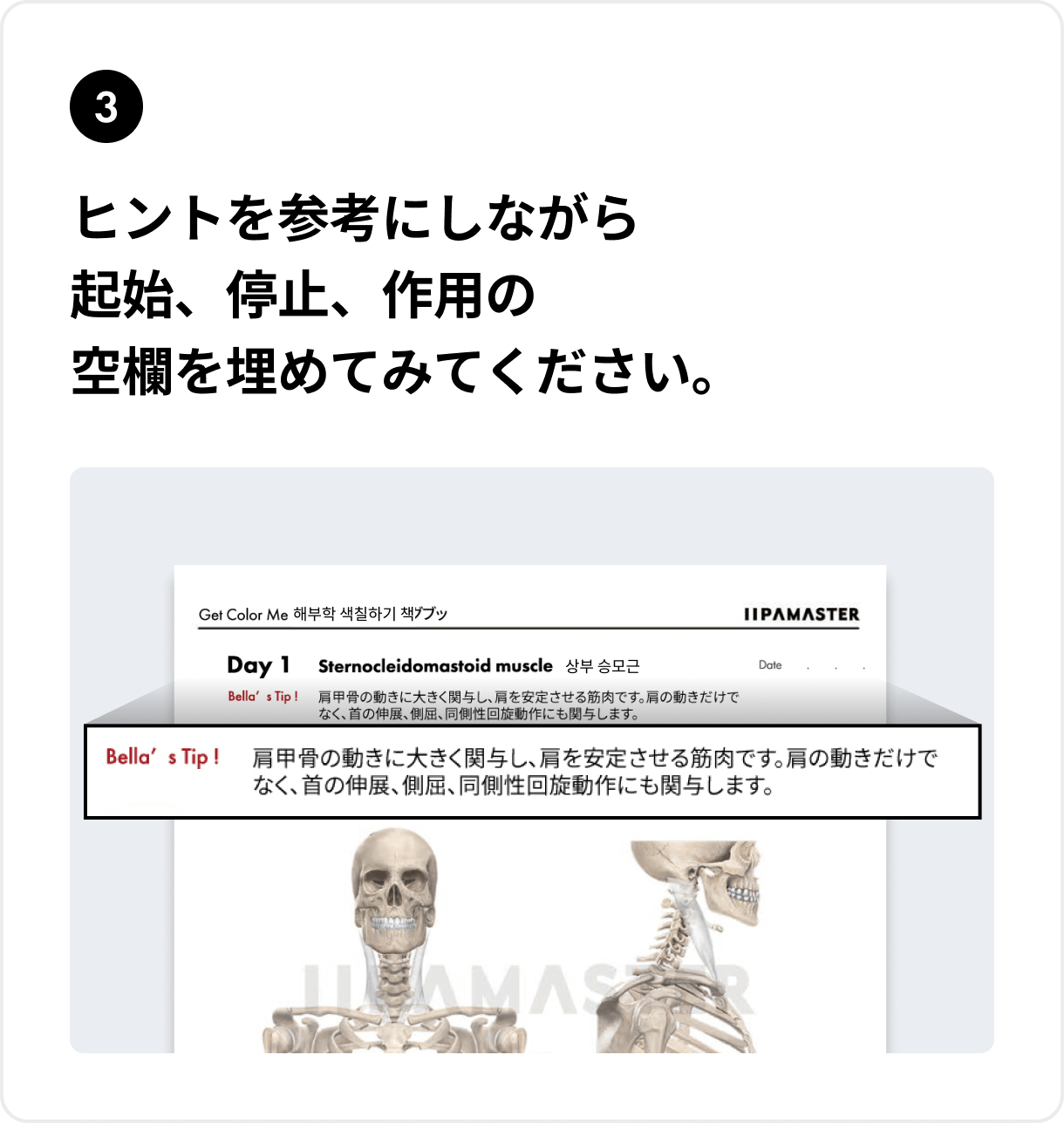ヒントを参考にしながら起始、停止、作用の空欄を埋めてみてください。