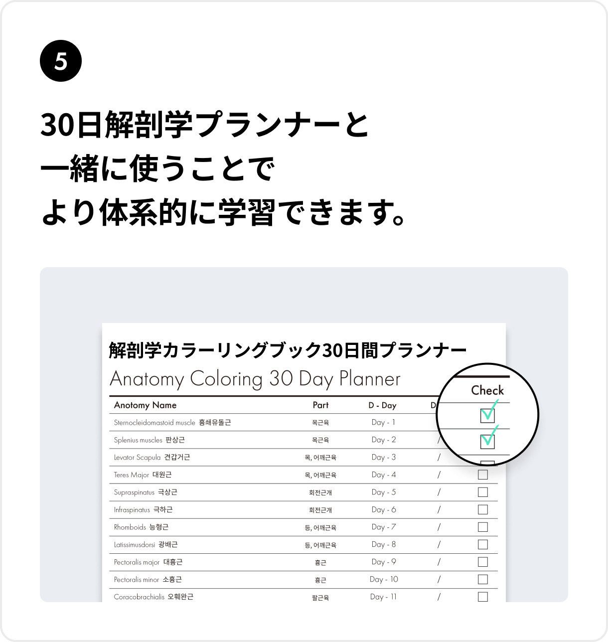 30日解剖学プランナーと一緒に使うことでより体系的に学習できます。